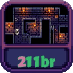 211br